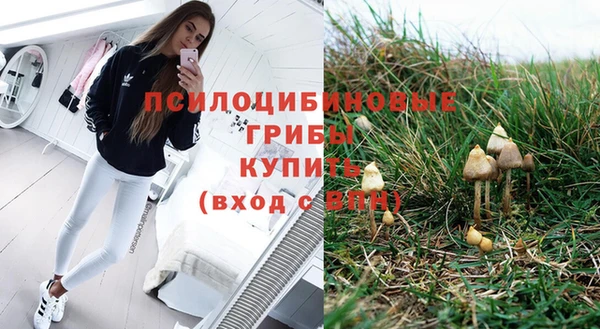 ПСИЛОЦИБИНОВЫЕ ГРИБЫ Белоозёрский