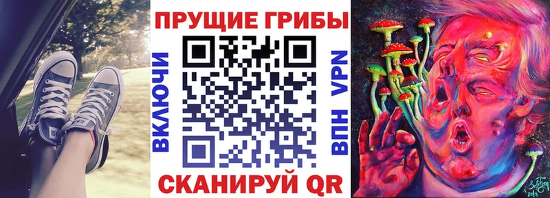 Псилоцибиновые грибы MAGIC MUSHROOMS Надым